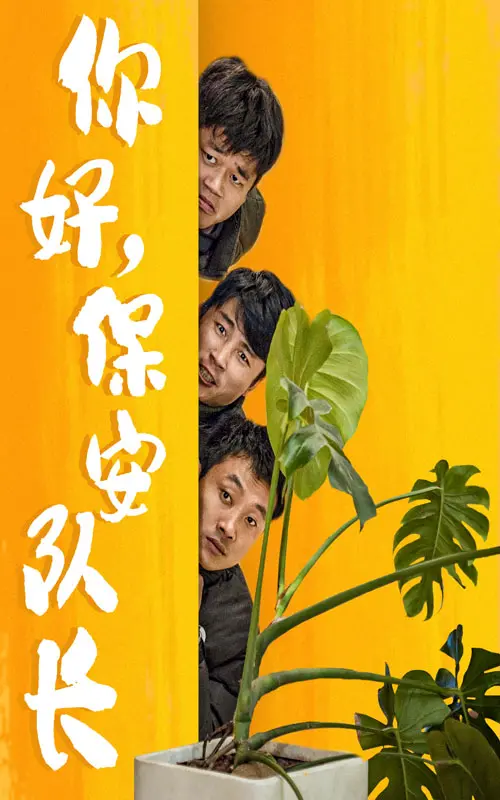 你好，保安队长 海报