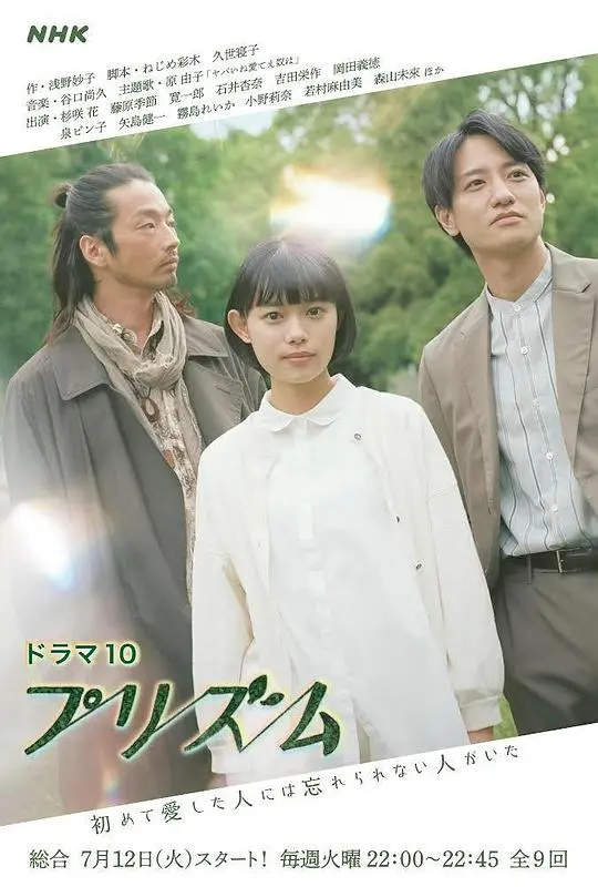 《棱镜》：光影交织下的真相，一部引人深思的犯罪纪录片