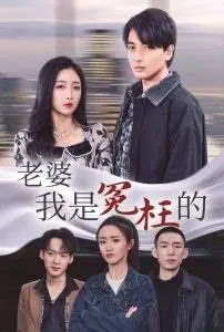 爆笑反转！《老婆我是冤枉的》：小人物的洗冤之路