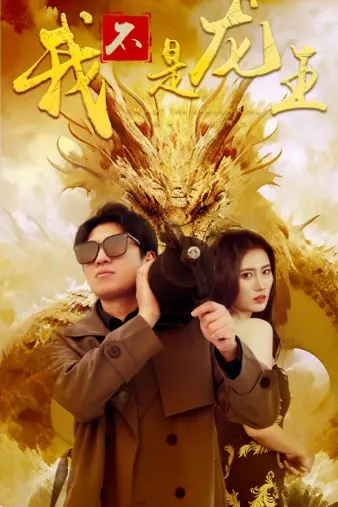 我不是龙王 海报