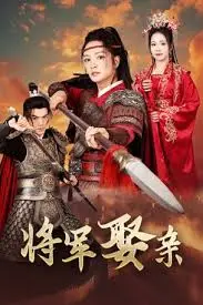 《将军娶亲》：霸道将军与落难千金的欢喜冤家，笑料百出的古装甜宠剧