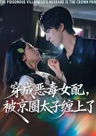 《穿成恶毒女配被京圈太子缠上了》：反套路甜宠剧，看恶女如何逆袭俘获太子心！